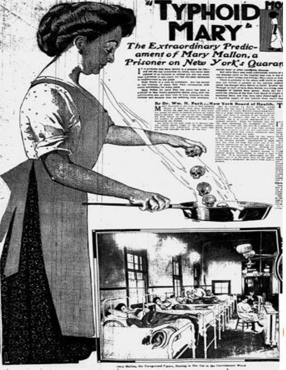 Newspaper clipping from 1909 featuring sensationalized coverage of Mary Mallon
